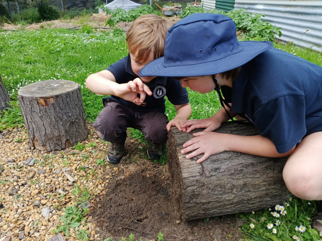 Bruny kids gardening day