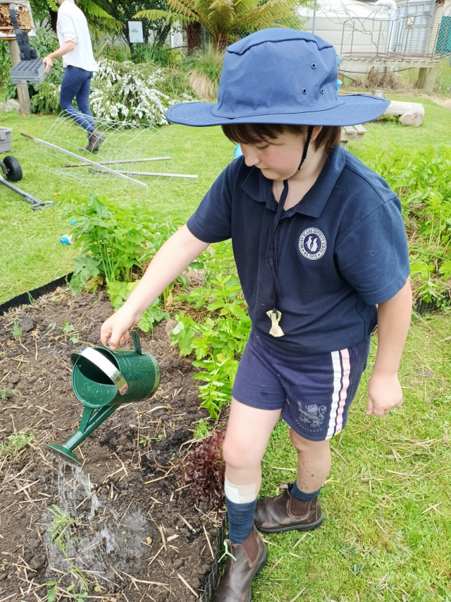 Bruny kids get involved in the garden