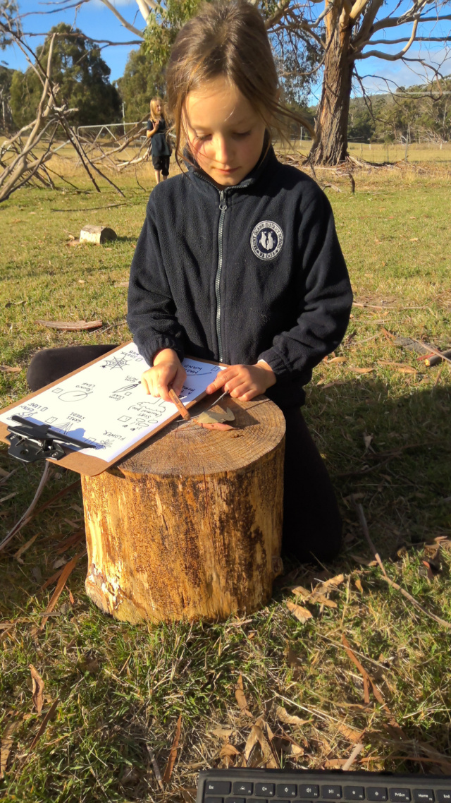 Bruny kids hunting for treasure