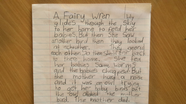 Fairy Wren by Lily Buczek age 7