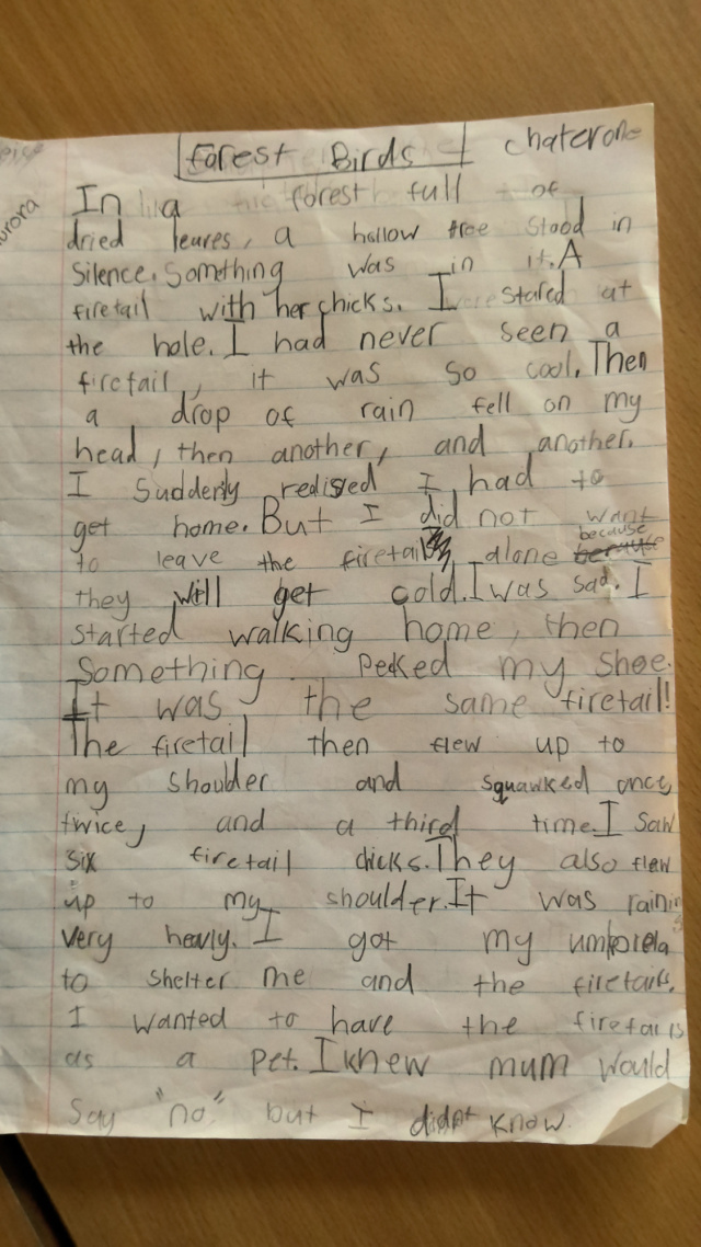 Forest Birds by Aurora age 7 chapter1