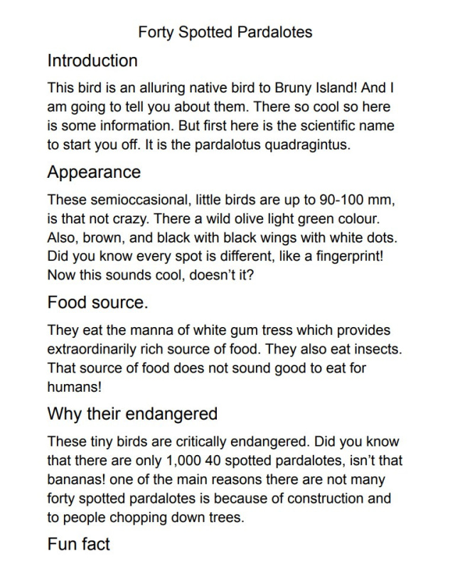 Forty spotted pardalotes by Lottie Morgan age 10 1