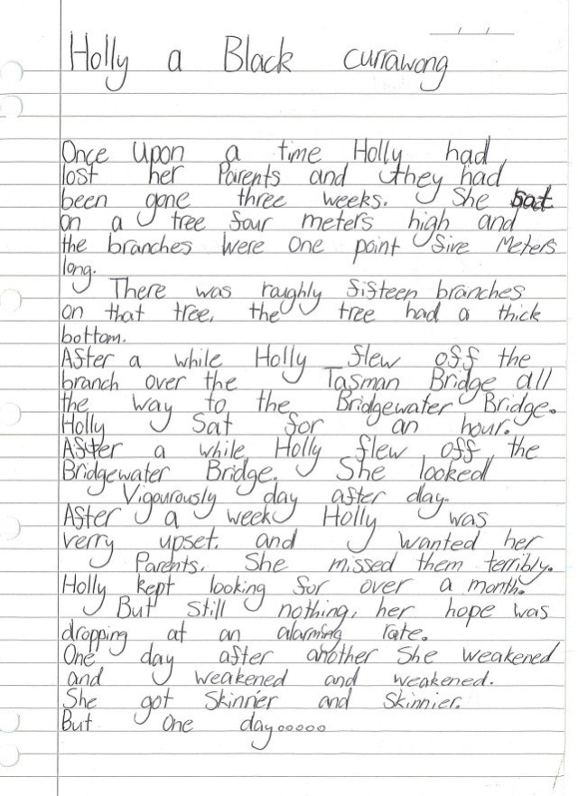 Holly a black currawong by Chloe Large age 10 1
