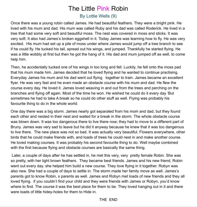 Little pink robin Lottie Wells