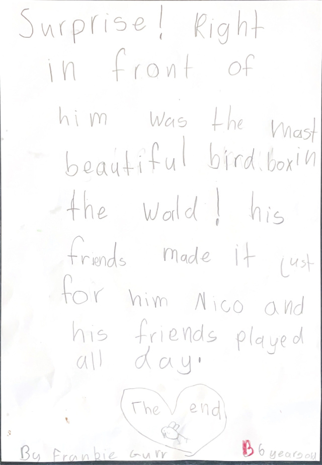 Nico finds his colours 4