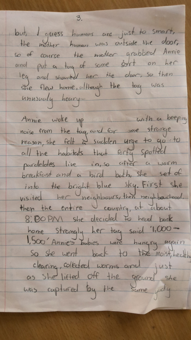 Story by August Lillico Kernery age 8 THREE