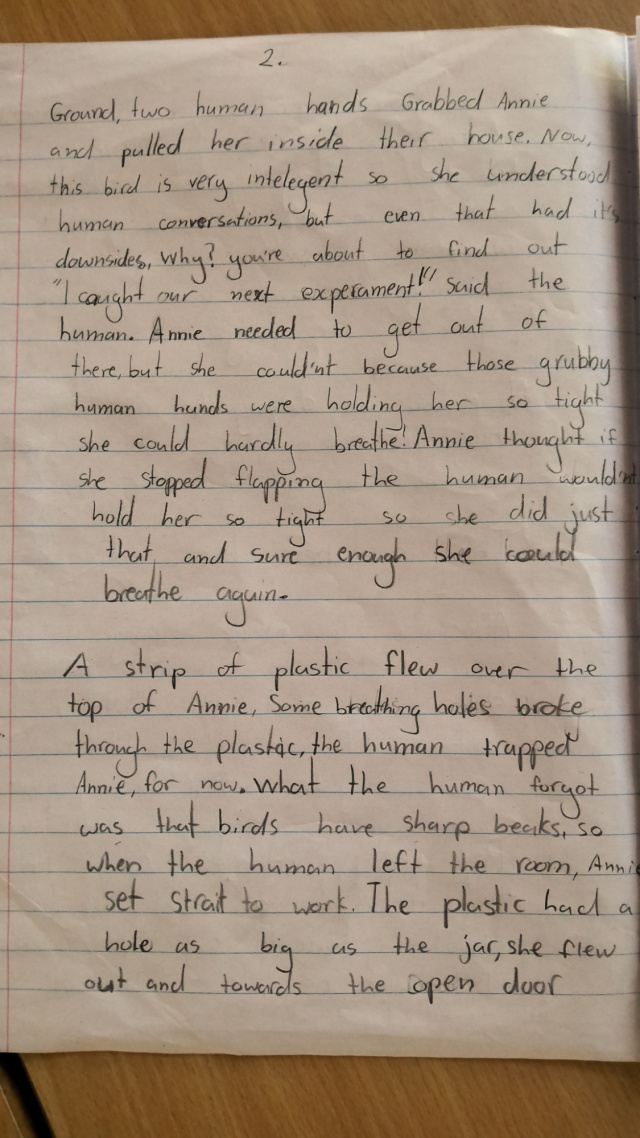 Story by August Lillico Kernery age 8 TWO