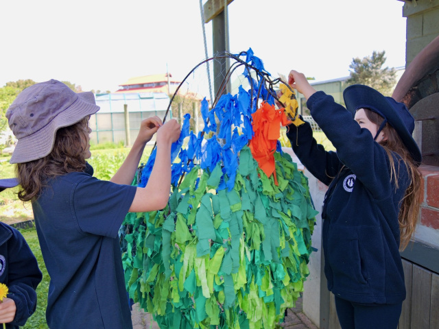 Swift Parrot art on Bruny