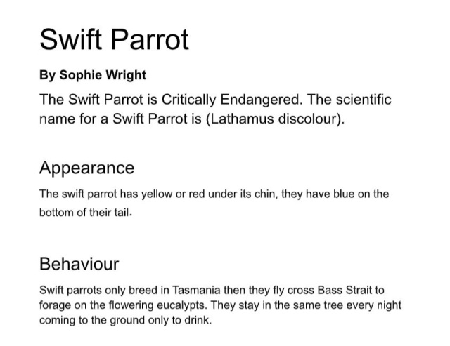 Swift Parrot by Sophie Wright age 10 1