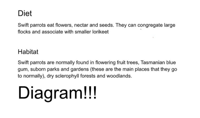 Swift Parrot by Sophie Wright age 10 2