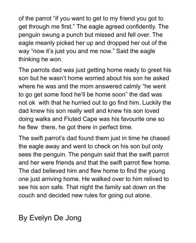 The Bird War by Evelyn De Jong age 10 2