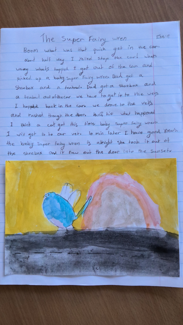 The Super Fairy Wren by Essie Knight age 8