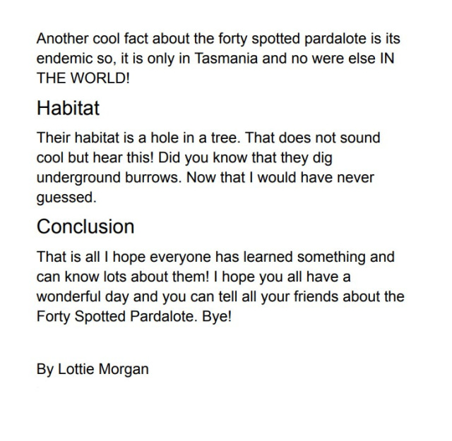 Forty spotted pardalote by Lottie Morgan age 10 2