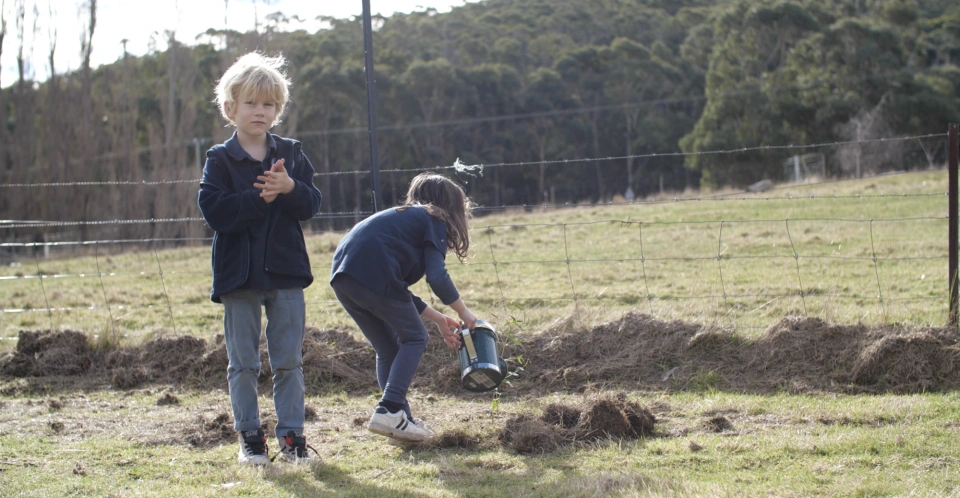 Views of the children planting