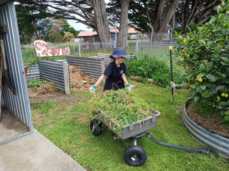 Bruny school gardening