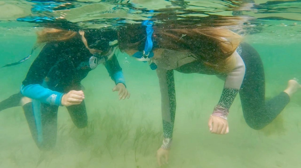 Underwater adventures Bruny