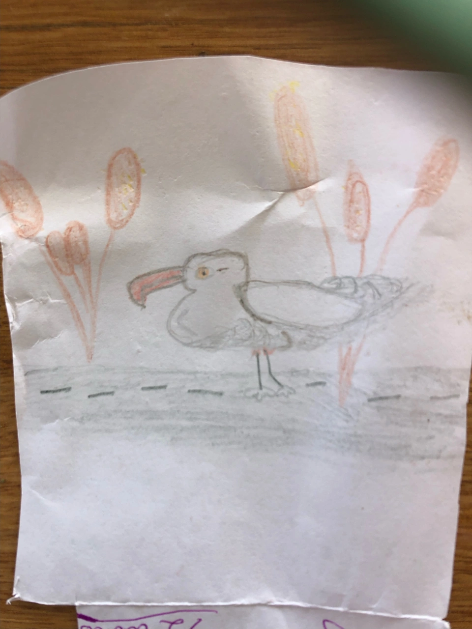 Mabel Cunningham aged 9 drawing