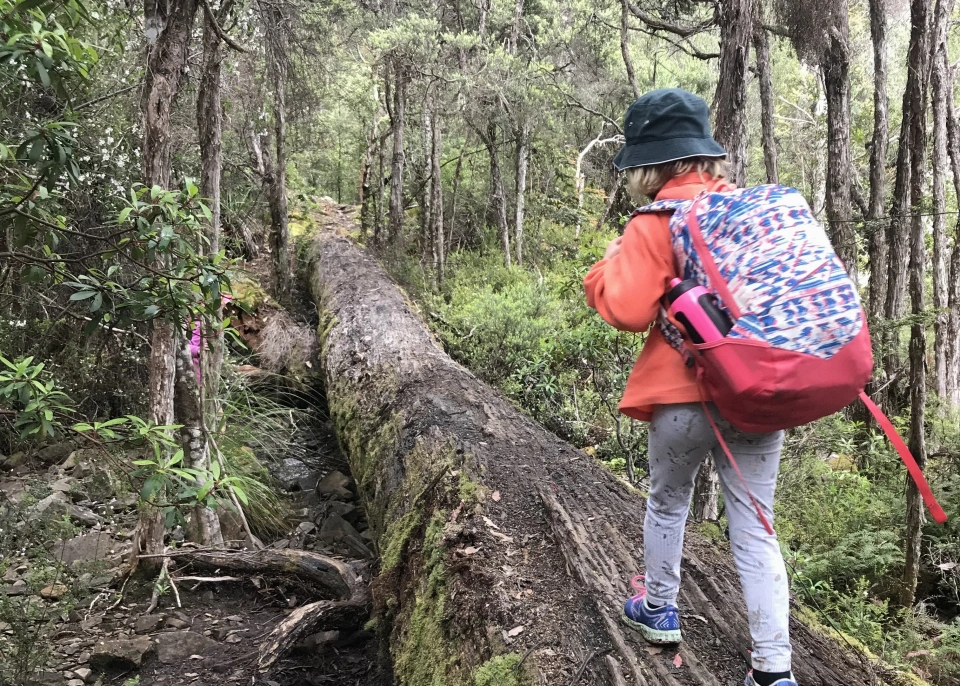 Kids in nature Phill Pullinger copy