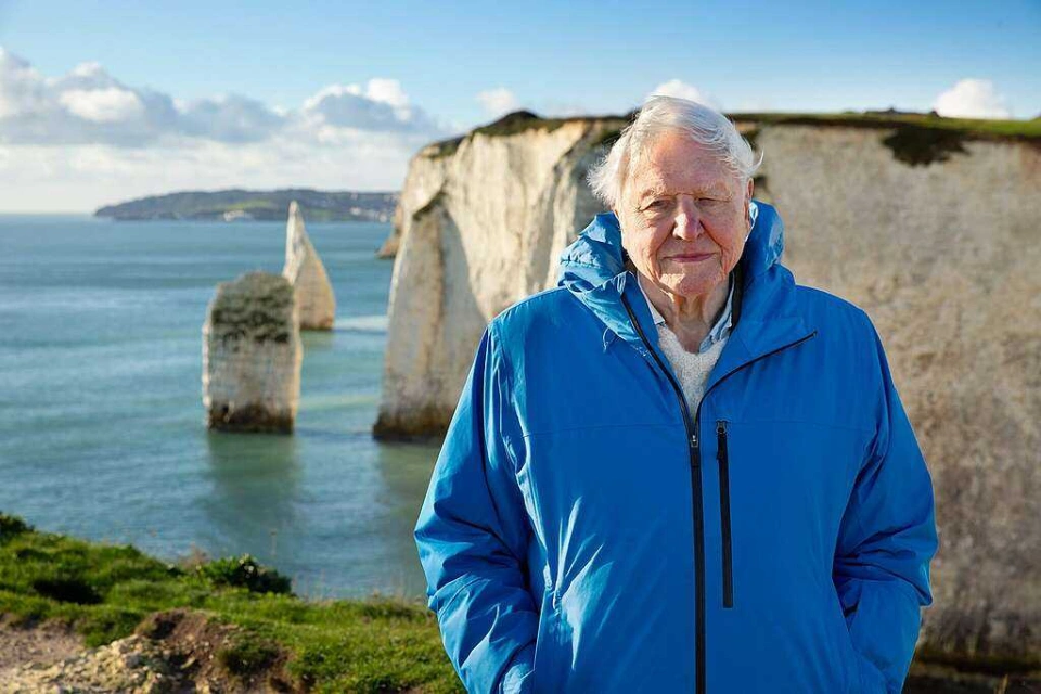 D2a8b9fd ocean with david attenborough keith scholey silverback films and open planet studios 2048x1365 1 1024x683