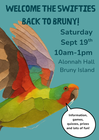 Welcome the swifites back to Bruny Saturday 19th of Sept