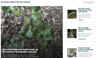 Bruny Articles