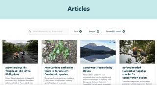 Kuno Articles