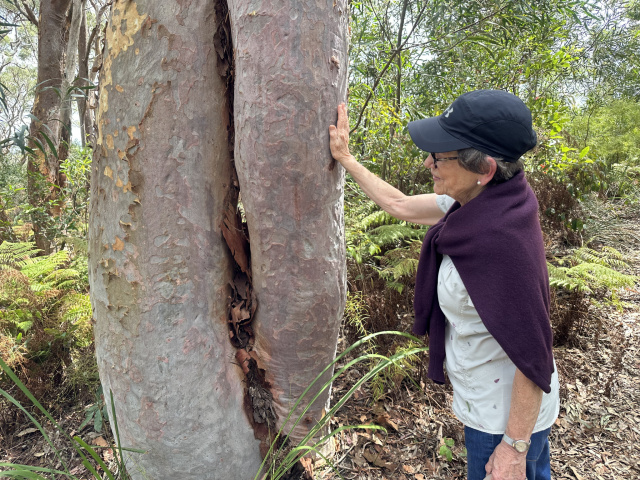 Love of Earth - Kate Eccles