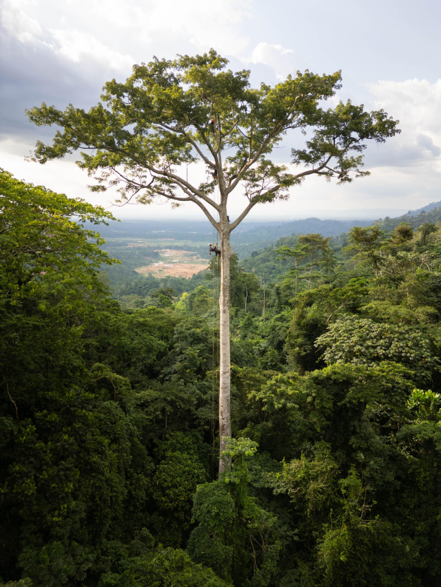 TTP Ghana 2025 20250426 DJI 0348