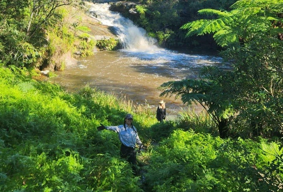 Volunteers at Mermaid Pools 1copy